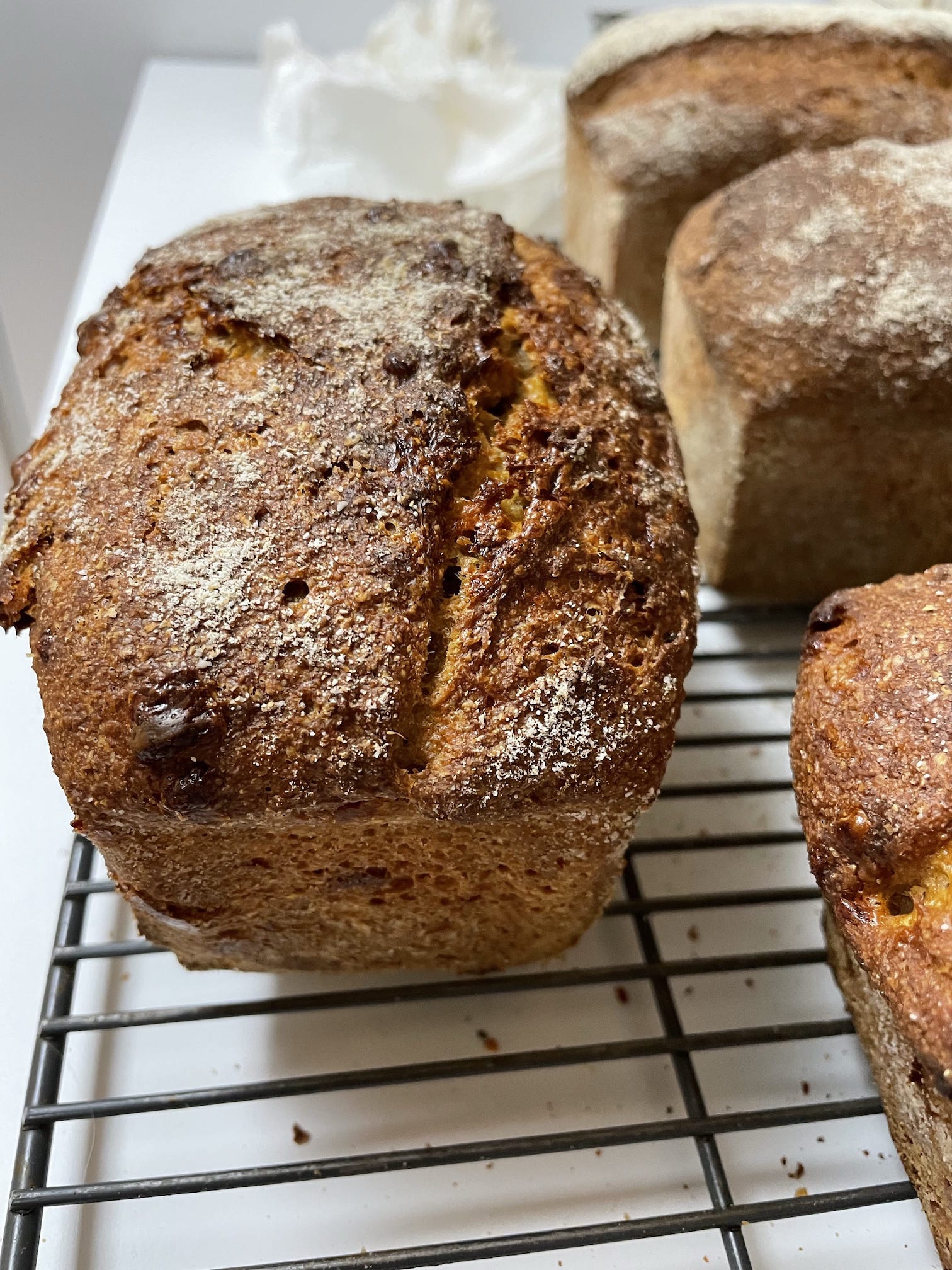 A loaf of 100% whole wheat garlic-cheese bread, fresh from the oven.