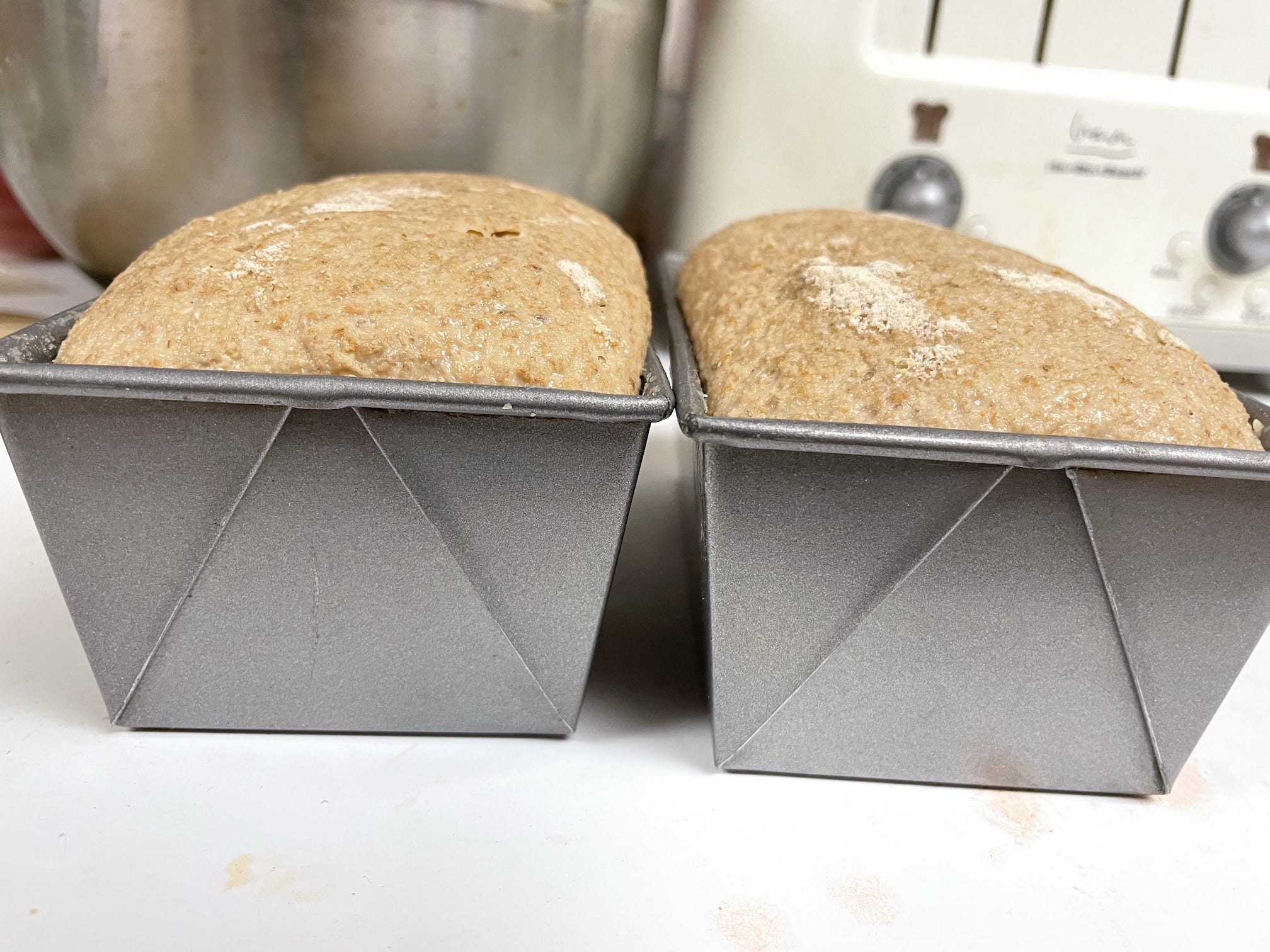 Jiggly dough, ready to be slashed and put in the oven. Jiggly dough, ready to be slashed and put in the oven.